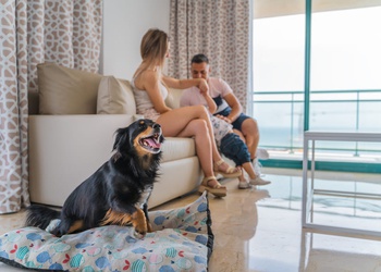 Appartement 2 chambres 4/6 personnes Appartements Magic Atrium Beach Villajoyosa Appartement 2 chambres 4/6 personnes Appartements Magic Atrium Beach Villajoyosa