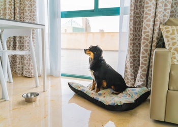 Appartement 3 chambres 5/7 personnes Appartements Magic Atrium Beach Villajoyosa Appartement 3 chambres 5/7 personnes Appartements Magic Atrium Beach Villajoyosa