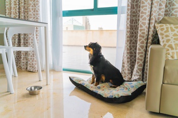 Appartement 3 chambres 5/7 personnes Appartements Magic Atrium Beach Villajoyosa Appartement 3 chambres 5/7 personnes Appartements Magic Atrium Beach Villajoyosa