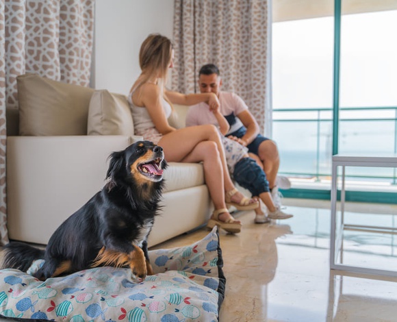 Appartement 2 chambres 4/6 personnes Appartements Magic Atrium Beach Villajoyosa Appartement 2 chambres 4/6 personnes Appartements Magic Atrium Beach Villajoyosa