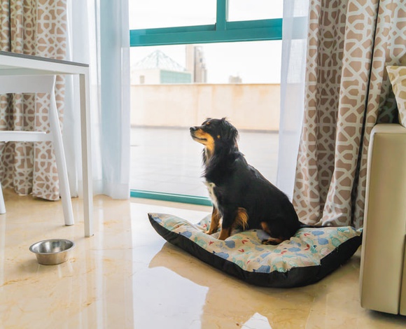 Appartement 3 chambres 5/7 personnes Appartements Magic Atrium Beach Villajoyosa Appartement 3 chambres 5/7 personnes Appartements Magic Atrium Beach Villajoyosa