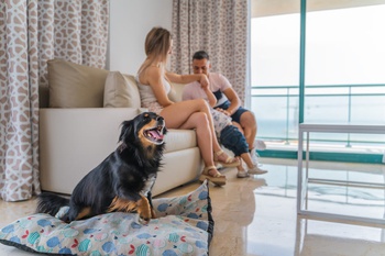 Appartement 2 chambres 4/6 personnes Appartements Magic Atrium Beach Villajoyosa Appartement 2 chambres 4/6 personnes Appartements Magic Atrium Beach Villajoyosa